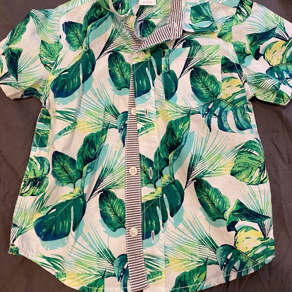 Gymboree boy shirts - Picture 2 of 2